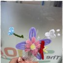 아이리미 이미지