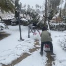 표선도서관 이미지