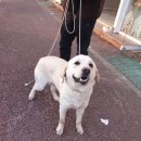 선도동행정복지센터 이미지