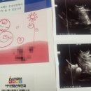 올리앤울진점 네이버블로그