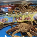 창배네 정직한 고기총각 | 기장시장 대게맛집 기장총각대게 만족했던 부산 여행 한 끼