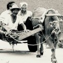 독립-16-05 이미지