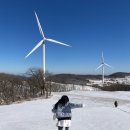 도훈목장 | [공지] 12월 말 겨울 여행 #1: 평창 삼양라운드힐❄️ (포토스팟 8곳 추천📸)