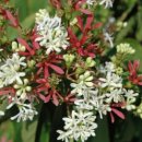 화곡2리 이미지