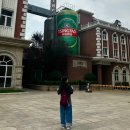 [중국 칭다오] 칭따오 청도 여행 2일차 코스(대복도&amp;천주교당/청도 맥주박물관/요트경기장&amp;5.4광장/해천...