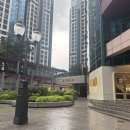(주)타워차이 타워팰리스점 | 강남 도곡동 미용실 추천 마끼에 타워팰리스점 고급 헤어 클리닉 받은 솔직후기