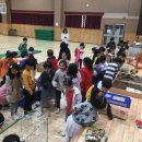 평화초교병설유치원 이미지