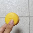 국제브레인 협동조합 이미지