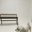 홈플러스 파주운정점(2) 이미지