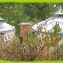 샬롬농장 이미지