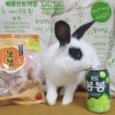 광주TNR동물병원(송정) 이미지