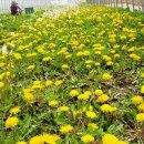 상노농장 이미지