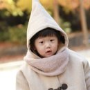 시크부