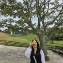 양동목장 이미지