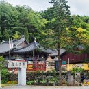 서곡정사 석조약사여래입상 이미지