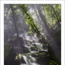 계곡의아침 이미지