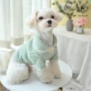 딩동 이미지