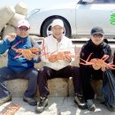 영덕대게관광여행사