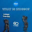 바이오닉스 이미지