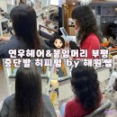 인천 히피펌 성지 부평 미용실 연우헤어 부평점 중단발 히피펌 후기 by 해원 디자이너