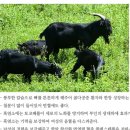참빛자연농원민박 | 극한직업 밥 주는 민박집 청양 송조농원 1박2일 예약