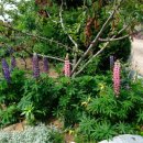 산대월리 이미지