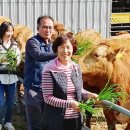 만희농장 이미지