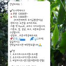 랑데뷰마카롱 | 군산 레터링케이크 랑데뷰마카롱 도시락케이크 주문 후기