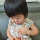 에그린농장 이미지