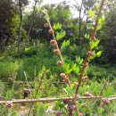 가나안농장 이미지