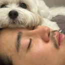 (주)메스엔터테인먼트 | 유괴의 날 7회 줄거리 리뷰 후기 7화 8회 예고 로희의 계책 윤계상 박성훈 드라마 유나 김신록 등장인물...