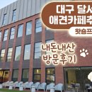 카페프리제 | 달서구 애견카페 추천 냄새 1도 없는 역대급 청결카페, 왓숑프리제 재방문각 후기