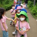 고일어린이집 이미지