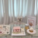 퍼피비스킷 이미지