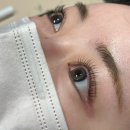 리플리 | 부담 없는 데일리 속눈썹 연장 전포 리플리 속눈썹 후기