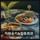 탑동회관 | 제주시 무근성 감성 브런치 카페송키&amp;탑동회관 아늑한 옛집 감성 카페