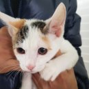 청북산단로 이미지