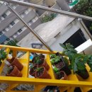 괴정농장 이미지