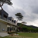 세종탑 행정사사무소 이미지