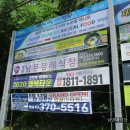 6월8일 월남호반(광주방면+삼영예식장) 불법현수막(화순센터시티) 이미지