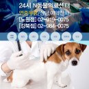 강무농장 | 동물농장: 막내가 돌아왔다. 행복한 삶을 찾은 막내...모성애 막내 고양이 후기] [N동물의료센터...