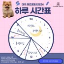 황금애견 이미지