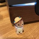 회기시장 이미지