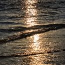 봉성목장 이미지