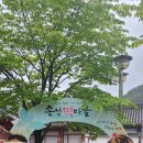 탁장사 이미지
