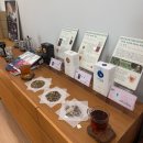 백한의원 | 경주 대추밭백한의원 후기｜예약부터 진료·한약 복용까지 직접 다녀온 이야기