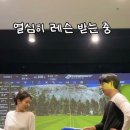 골프패션