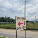 슬기로운 초록생활 | 타기 좋은 길, 다양한 그네가 가득한 곳! 제천 에코브릿지 그네공원 초록길광장 / 슬기로운 제천생활