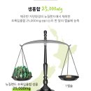 더초록 이미지