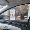 럽투잇 | [의정부] 강아지 커스텀 생일케이크, 럽투잇 후기 (배송가능)